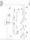Fig. 07 - Method of using photon modulation for regulation of hormones in mammals