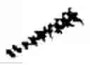 Fig. 02 - TLR8 agonist
