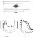 Fig. 02 - GIP PEPTIDE ANALOGUES
