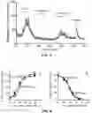 Fig. 04 - GIP PEPTIDE ANALOGUES