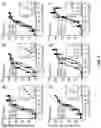 Fig. 06 - GIP PEPTIDE ANALOGUES