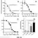 Fig. 07 - GIP PEPTIDE ANALOGUES