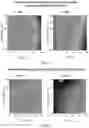 Fig. 02 - Modifiers for luxury vinyl tile to increase hardness and rigidity