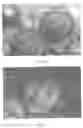 Fig. 09 - Coating For Ink-Jet Paper And Methods Of Manufacture