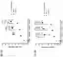 Fig. 33 - MICROFLUIDIC CELL CULTURE PLATE FOR AIR-LIQUID INTERFACE AND 3D CULTURED TISSUE APPLICATIONS