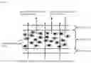 Fig. 04 - ALGINATE HOLLOW MICROFIBER