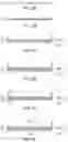 Fig. 09 - CELL CULTURE TOOL AND METHOD FOR PRODUCING CELL CULTURE TOOL