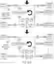 Fig. 28 - System and method for centralized fluid management and culture control
