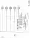 Fig. 85 - System and method for centralized fluid management and culture control