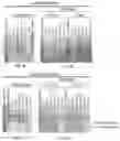 Fig. 05 - Modified AAV constructs and uses thereof