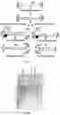 Fig. 08 - Modified AAV constructs and uses thereof