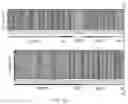 Fig. 35 - Modified AAV constructs and uses thereof