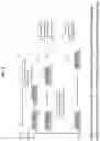 Fig. 08 - High-Throughput Screening Platform for Longevity Genes and Anti-Aging Drugs