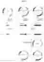 Fig. 09 - High-Throughput Screening Platform for Longevity Genes and Anti-Aging Drugs
