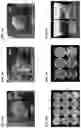 Fig. 05 - METHOD FOR PRODUCING GENOME-MODIFIED PLANTS FROM PLANT PROTOPLASTS AT HIGH EFFICIENCY