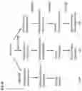 Fig. 08 - METHOD FOR PRODUCING GENOME-MODIFIED PLANTS FROM PLANT PROTOPLASTS AT HIGH EFFICIENCY