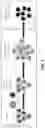Fig. 02 - DONOR T-CELLS WITH KILL SWITCH