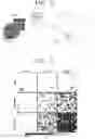 Fig. 07 - Microorganism information providing device and method