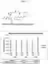 Fig. 02 - Substrates for covalent tethering of proteins to functional groups or solid surfaces