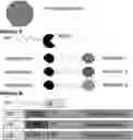 Fig. 01 - TARGET CAPTURE AND BARCODING IN MONODISPERSE DROPLETS