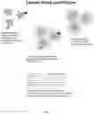 Fig. 03 - TARGET CAPTURE AND BARCODING IN MONODISPERSE DROPLETS