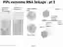Fig. 05 - TARGET CAPTURE AND BARCODING IN MONODISPERSE DROPLETS