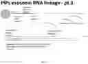 Fig. 06 - TARGET CAPTURE AND BARCODING IN MONODISPERSE DROPLETS