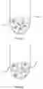 Fig. 12 - TARGET CAPTURE AND BARCODING IN MONODISPERSE DROPLETS