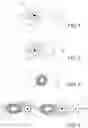 Fig. 02 - Textile that is both soft to touch and resistant to abrasion and stretching