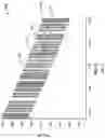 Fig. 07 - 1-d inversion process for determining formation properties ahead of a drill bit in a subsurface formation