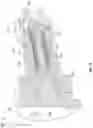 Fig. 19 - Coupler to attach robotic arm to surgical table