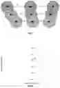 Fig. 05 - SYSTEM AND METHOD FOR INSPECTING OPTICAL POWER AND THICKNESS OF OPHTHALMIC LENSES IMMERSED IN A SOLUTION