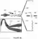 Fig. 09 - System and method for deforming and analyzing particles