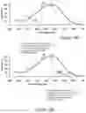Fig. 24 - Method and apparatus for limiting growth of eye length