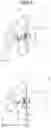 Fig. 07 - Fixing device, image forming apparatus, and method for adjusting length of interposing and pressurizing region by fixing device