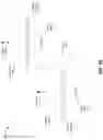 Fig. 09 - Lift from vessel formation