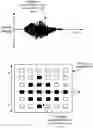 Fig. 01 - Haptic stimulation systems and methods
