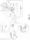 Fig. 13 - User-defined virtual interaction space and manipulation of virtual cameras with vectors