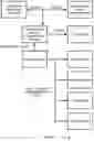 Fig. 06 - Shared pipeline for multiple services