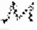 Fig. 11 - Private model utility by minimizing expected loss under noise