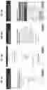 Fig. 11 - Method and apparatuses for interactive ordering of dental appliances