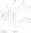Fig. 41 - Semiconductor device and manufacturing method thereof