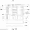 Fig. 48 - Semiconductor device and manufacturing method thereof