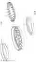 Fig. 05 - Contact ring and contact system