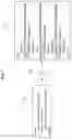 Fig. 12 - Security method of XML web document