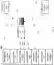 Fig. 08 - System and method for identity management