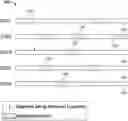Fig. 01 - Systems and methods for providing timeline of content items on a user interface