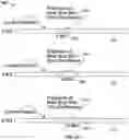 Fig. 11 - Systems and methods for providing timeline of content items on a user interface