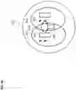 Fig. 09 - Long term evolution radio access network