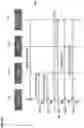 Fig. 19 - Long term evolution radio access network